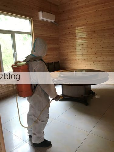 古都防疫的物理防线：洛阳盆地屏障下的精准防控