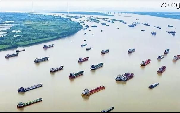 黄石港区：长江水运枢纽的疫情防线与破口